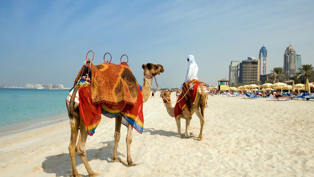 Top 10 Places to Visit in Dubai During Summer for Free