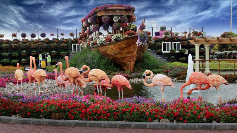 Get ready: Dubai Miracle Garden reopens in less than a month
