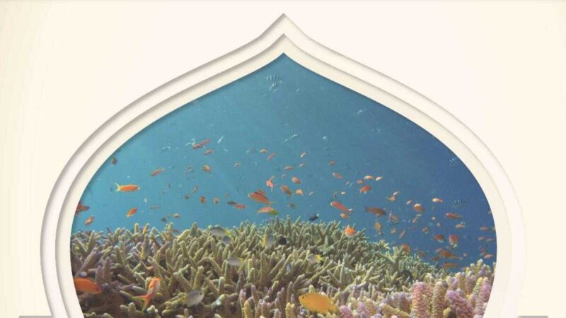 Sublime Serenity: Dubai's Underwater Mosque Redefines Spiritual Architecture